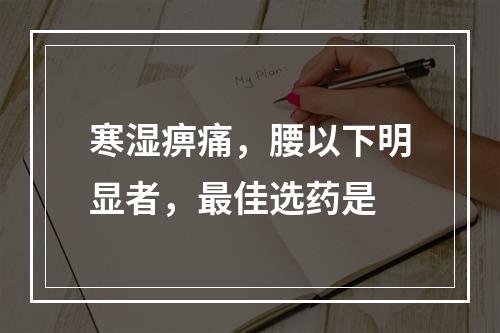 寒湿痹痛，腰以下明显者，最佳选药是