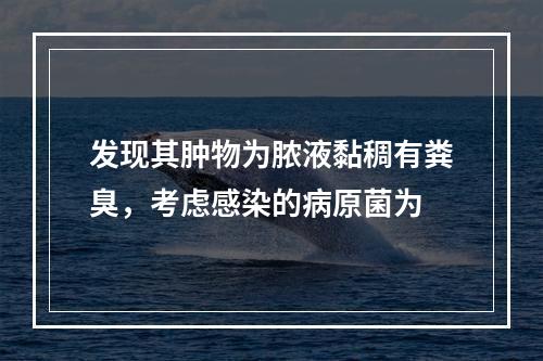 发现其肿物为脓液黏稠有粪臭，考虑感染的病原菌为