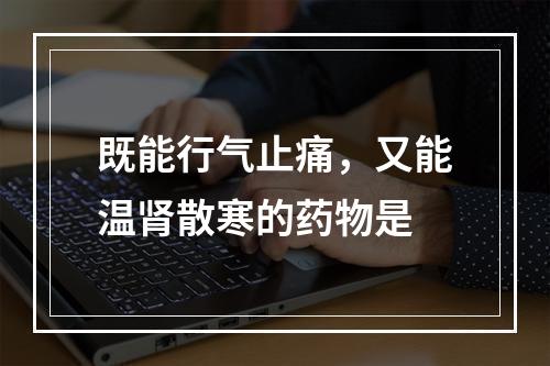 既能行气止痛，又能温肾散寒的药物是