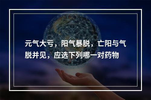 元气大亏，阳气暴脱，亡阳与气脱并见，应选下列哪一对药物