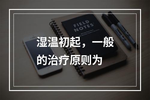 湿温初起，一般的治疗原则为