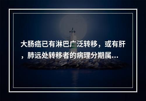 大肠癌已有淋巴广泛转移，或有肝，肺远处转移者的病理分期属于（