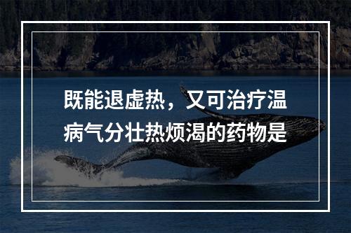 既能退虚热，又可治疗温病气分壮热烦渴的药物是