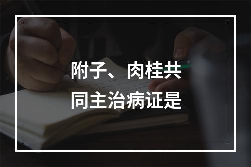 附子、肉桂共同主治病证是