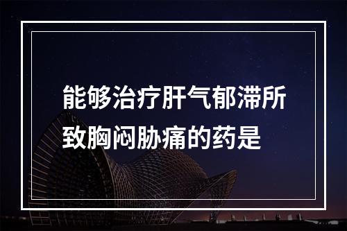 能够治疗肝气郁滞所致胸闷胁痛的药是