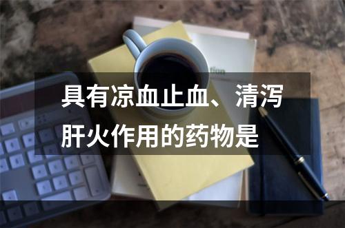 具有凉血止血、清泻肝火作用的药物是