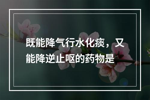 既能降气行水化痰，又能降逆止呕的药物是