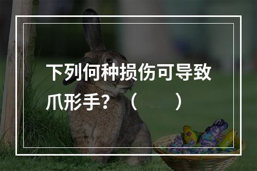 下列何种损伤可导致爪形手？（　　）