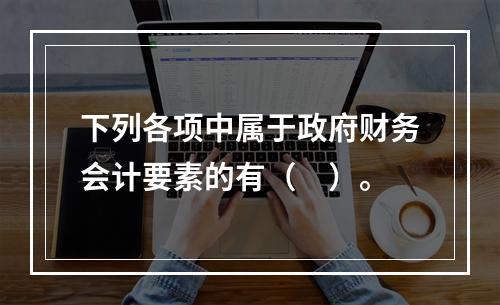 下列各项中属于政府财务会计要素的有（　）。