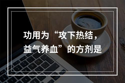 功用为“攻下热结，益气养血”的方剂是