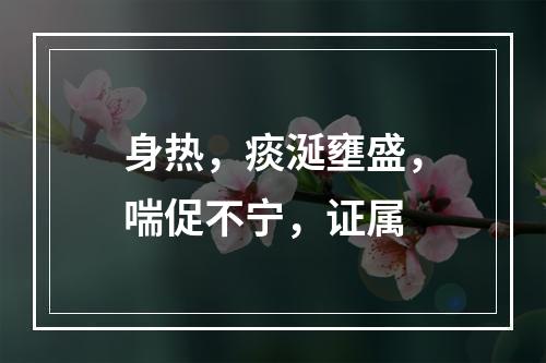 身热，痰涎壅盛，喘促不宁，证属