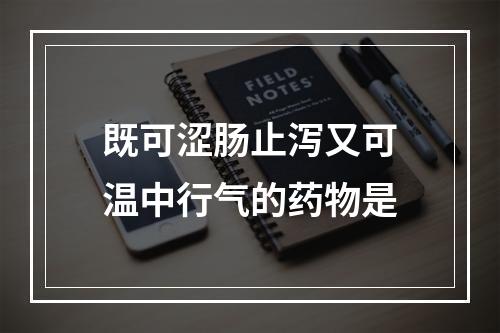 既可涩肠止泻又可温中行气的药物是