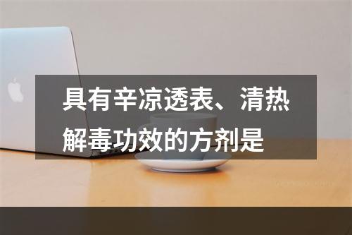 具有辛凉透表、清热解毒功效的方剂是