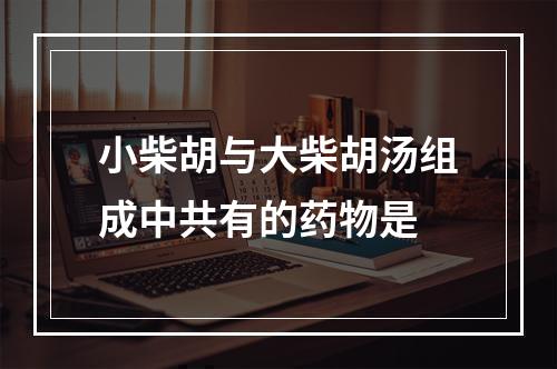 小柴胡与大柴胡汤组成中共有的药物是