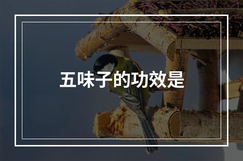 五味子的功效是