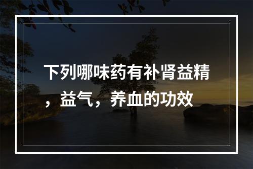 下列哪味药有补肾益精，益气，养血的功效