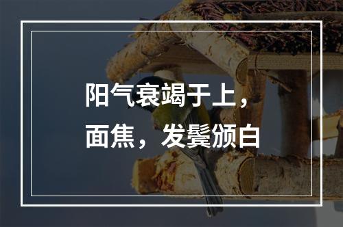 阳气衰竭于上，面焦，发鬓颁白