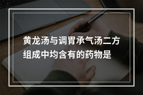 黄龙汤与调胃承气汤二方组成中均含有的药物是