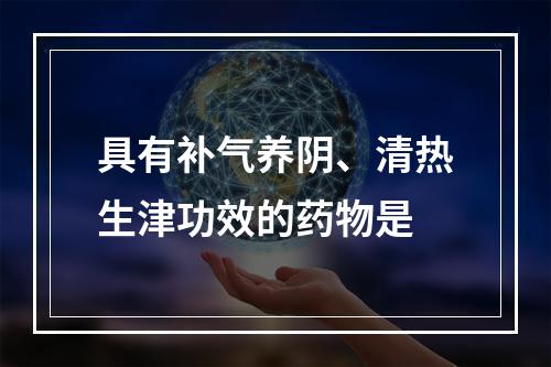 具有补气养阴、清热生津功效的药物是