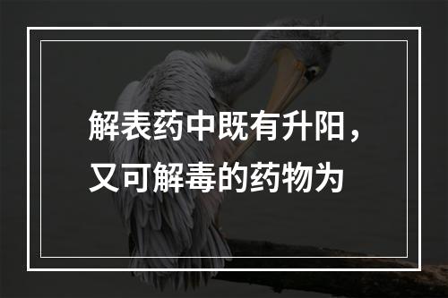 解表药中既有升阳，又可解毒的药物为