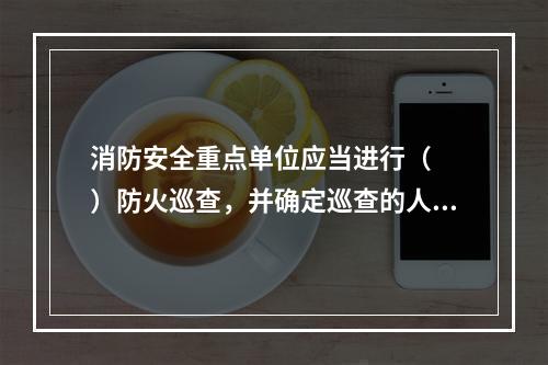 消防安全重点单位应当进行（  ）防火巡查，并确定巡查的人员.