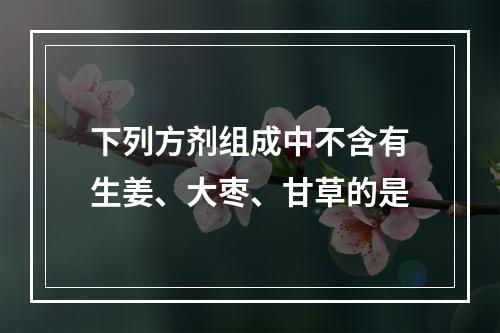 下列方剂组成中不含有生姜、大枣、甘草的是