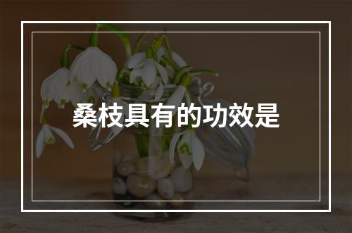 桑枝具有的功效是