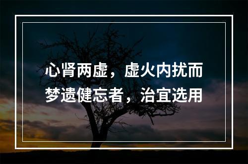 心肾两虚，虚火内扰而梦遗健忘者，治宜选用