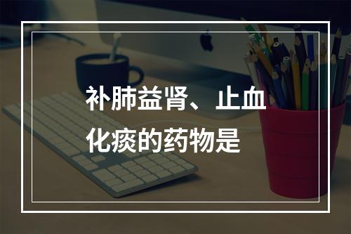 补肺益肾、止血化痰的药物是