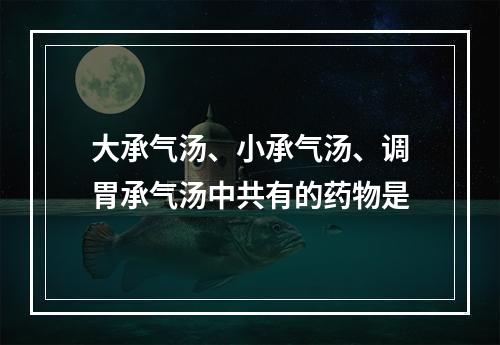 大承气汤、小承气汤、调胃承气汤中共有的药物是