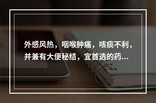 外感风热，咽喉肿痛，咳痰不利，并兼有大便秘结，宜首选的药物是