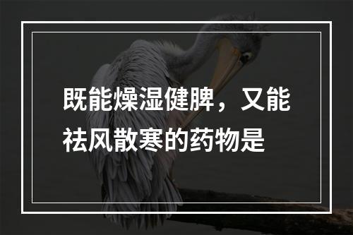 既能燥湿健脾，又能祛风散寒的药物是