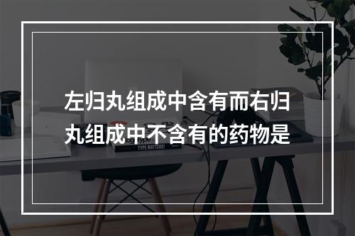 左归丸组成中含有而右归丸组成中不含有的药物是