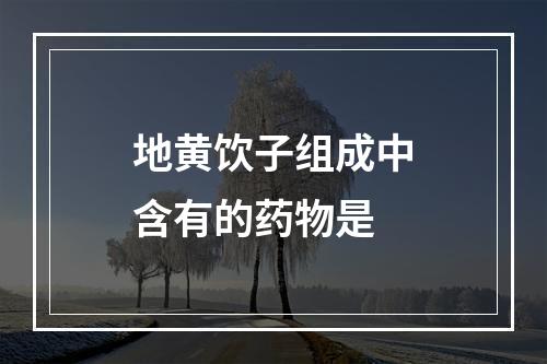 地黄饮子组成中含有的药物是