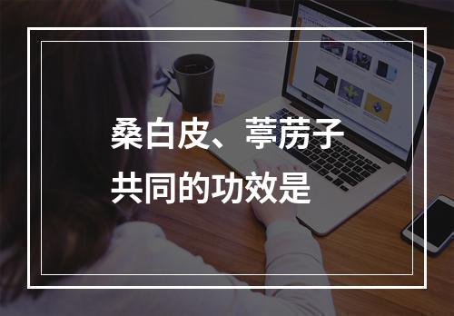 桑白皮、葶苈子共同的功效是