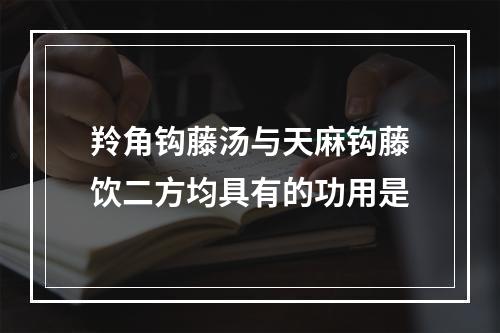 羚角钩藤汤与天麻钩藤饮二方均具有的功用是