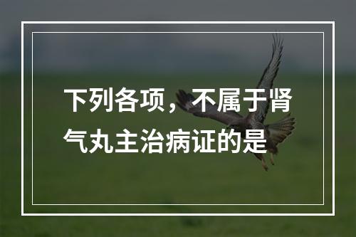 下列各项，不属于肾气丸主治病证的是