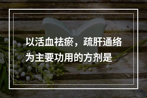 以活血祛瘀，疏肝通络为主要功用的方剂是