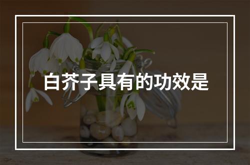 白芥子具有的功效是