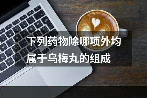 下列药物除哪项外均属于乌梅丸的组成