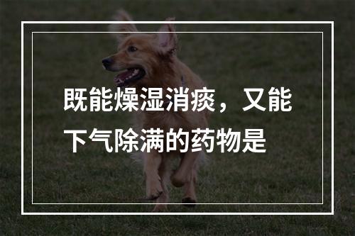 既能燥湿消痰，又能下气除满的药物是