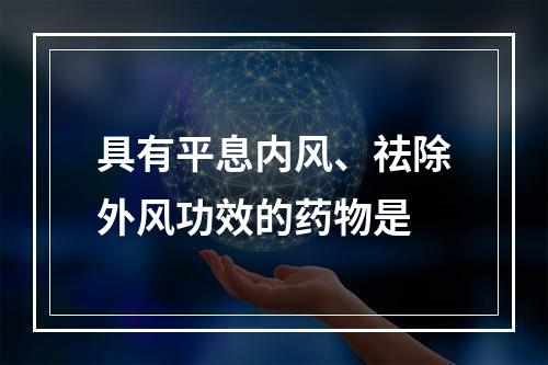 具有平息内风、祛除外风功效的药物是