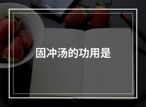 固冲汤的功用是