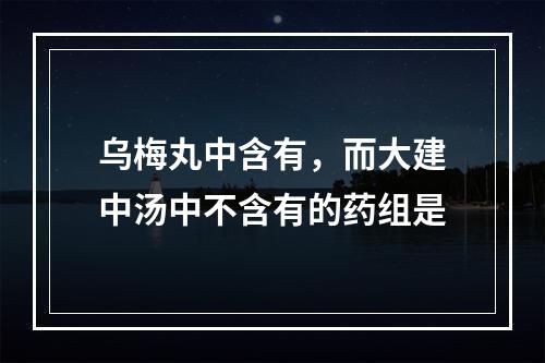 乌梅丸中含有，而大建中汤中不含有的药组是