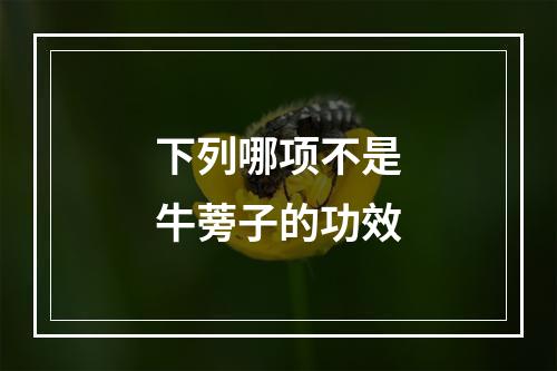 下列哪项不是牛蒡子的功效