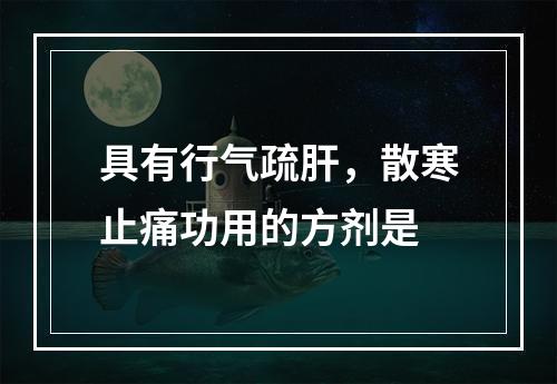 具有行气疏肝，散寒止痛功用的方剂是