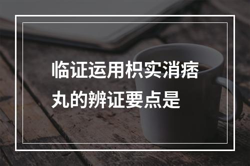 临证运用枳实消痞丸的辨证要点是