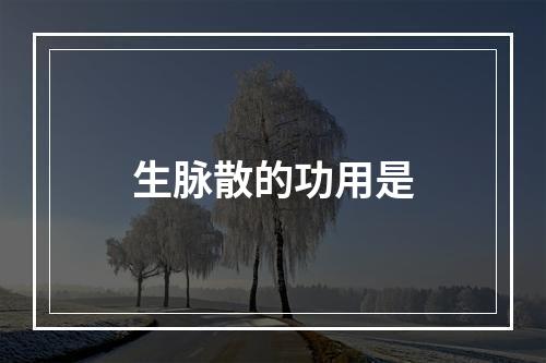 生脉散的功用是