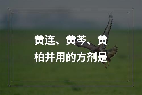 黄连、黄芩、黄柏并用的方剂是