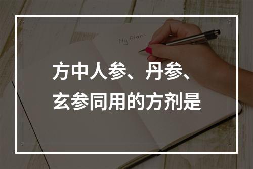 方中人参、丹参、玄参同用的方剂是